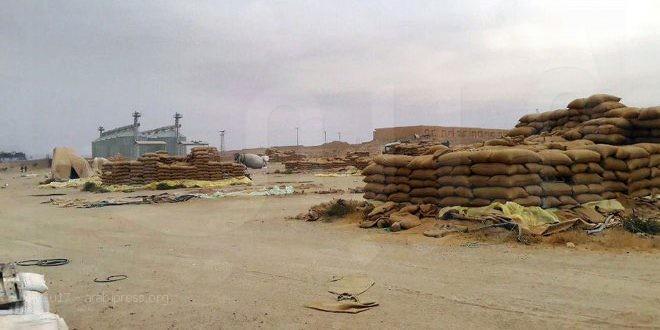 شحن 31 ألف طن من الأقماح تم العثور عليها في أوكار “داعش” بريف دير الزور!
