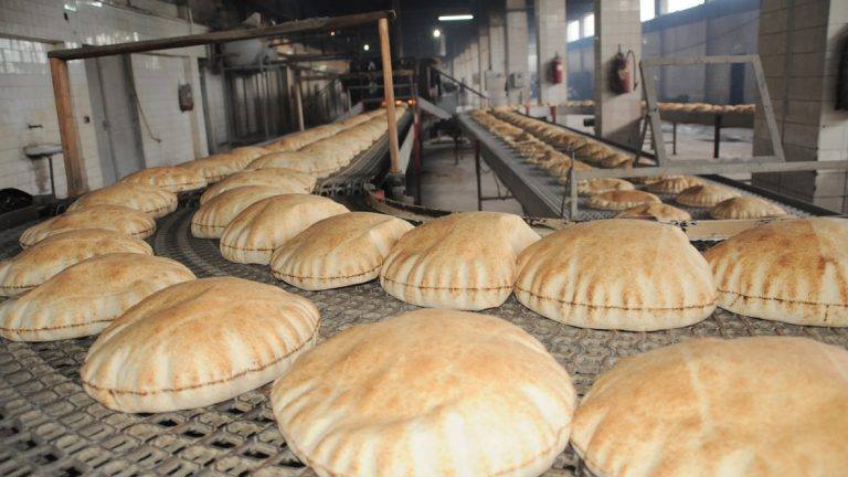 وزير التجارة الداخلية:  تحويل دعم الخبز لزيادة رواتب يحتاج استبيانات ودراسة حكومية