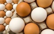 وزارة الزراعة توضح حقيقة السماح باستيراد بيض المائدة: