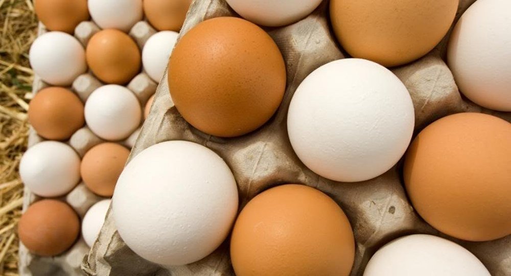 وزارة الزراعة توضح حقيقة السماح باستيراد بيض المائدة:
