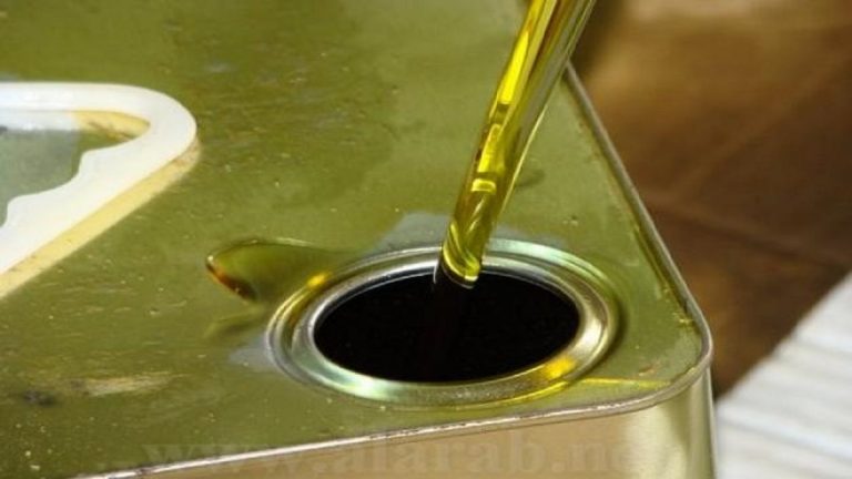 الحكومة ترصد 752 مليون ليرة لتطوير محصول الزيتون