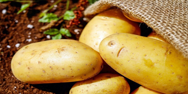 10 أطنان من البطاطا السورية تُهرّب إلى لبنان يومياً !!