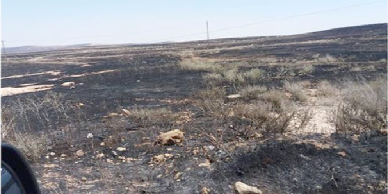 سبعة حرائق زراعية في حماة وانفجار لغم بصهريج إطفاء خلال إخماد أحدها بـ«أثريا»