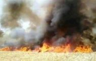 ريف دمشق: النيران تلتهم 50 دونماً من الشعير