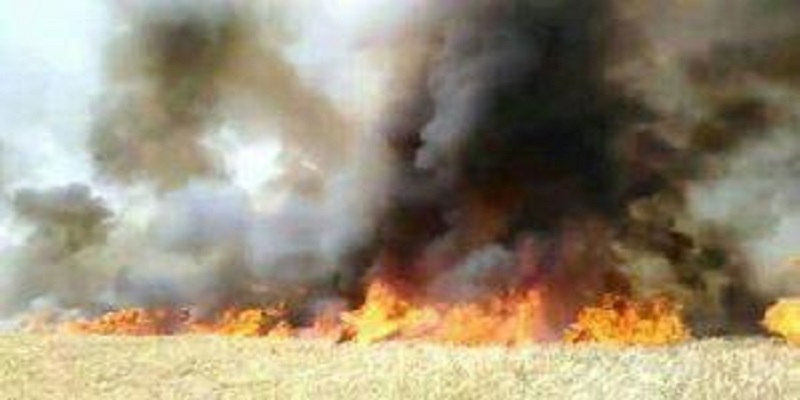 ريف دمشق: النيران تلتهم 50 دونماً من الشعير