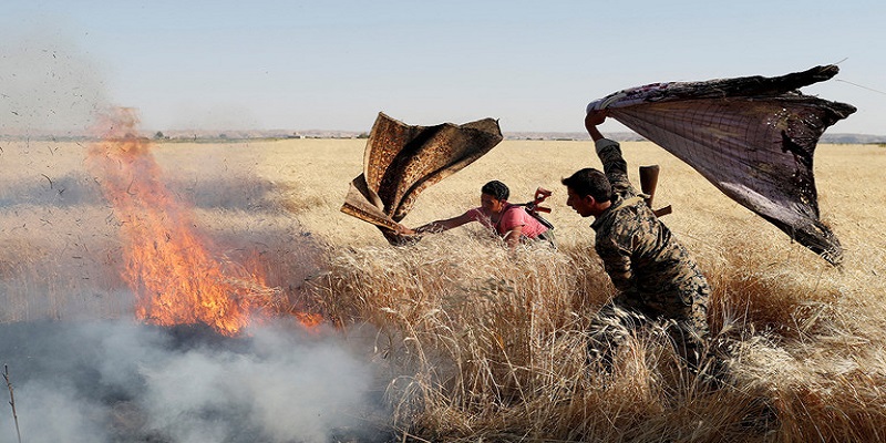 يزرعون القمح .. ويحصدون الرماد: حرائق مجهولة الفاعل في سوريا