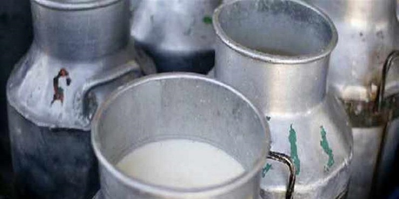بشرى من جمعية الألبان … رفع الأسعار هذا الأسبوع وانخفاض في التصدير والطلب على الحليب من معامل البوظة