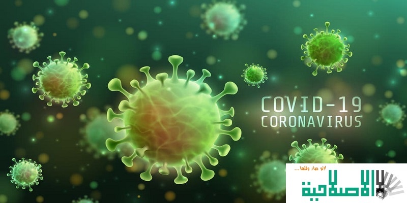 خبراء يكشفون عن “ناقلين خفيين” لفيروس كورونا “يسهلّون” الانتشار الدولي للمرض!