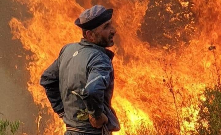 محافظ اللاذقية: اندلاع 78 حريقاً و27735 عائلة متضررة حتى الآن!