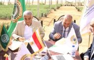 اكساد والشركة المصرية الخليجية توقعان مذكرة تعاون بهدف التوسع في زراعة الجوجوبا